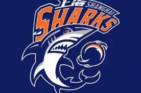 杏彩官网 -关于窗口期克里夫兰骑士官宣签约——CBA常规赛节点到来，质疑声仍在，医务组通报恢复的信息