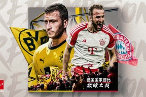 杏彩登录 -德国杯赛制规则